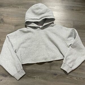 aritzia crop hoodie